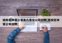 榆林区块链公司有几家分公司招聘[西安区块链公司招聘]